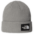 SALTY LINED BEANIE TNFLIGHTGREYHTR