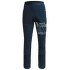 Nohavice Martini Gradient Men iris
