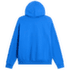 Mikina The North Face EVOLUTION SIMPLE DOME REGULAR HOODIE MEN NLQ ACTIVE BLUE