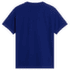 Tričko krátky rukáv The North Face Evolution Simple Dome Regular Short Sleeve Men NLV BOLD BLUE