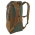 Batoh Patagonia Black Hole Pack 25L Friend Green