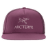 Šiltovka Arcteryx Logo Trucker Flat Jupiter