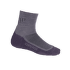 Ponožky Icebreaker Hike Lite Mini Women Silk/Sil/Vin