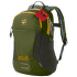 Batoh Jack Wolfskin Kids Moab Jam cypress green 4521