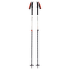 Palice Black Diamond EXPEDITION 2 SKI POLES