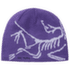 Bird Head Toque Blurple / Kasumi