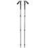 Palice Black Diamond TRAIL TREKKING POLES Pine Smoke