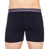 Boxerky Icebreaker Anatomica Boxers Men (103030) DK LODEN